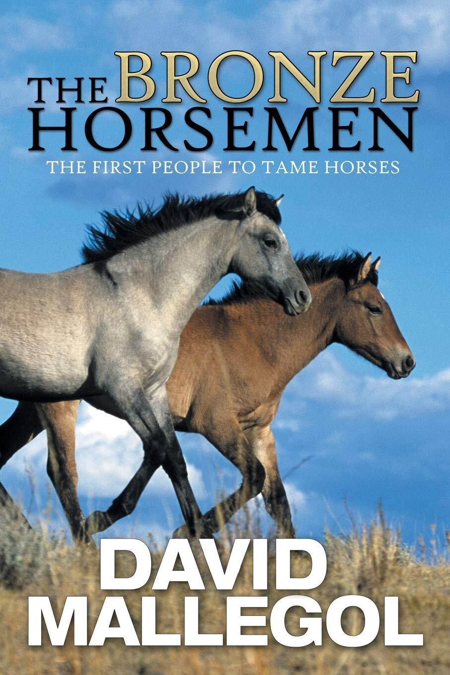 the bronze horseman series