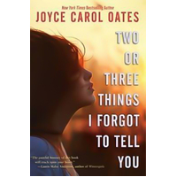 Two or Three Things I Forgot to Tell You - Novel Book