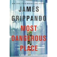 Most Dangerous Place [Large Print]: Jack Swyteck - Fiction Book