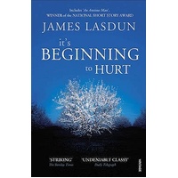 It's Beginning To Hurt -James Lasdun Book