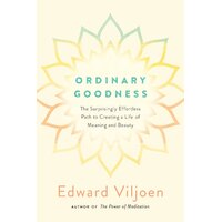 Ordinary Goodness Paperback Book