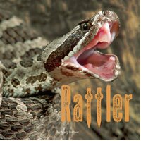 Rattler: Penguin Core Concepts -Mary Batten Paperback Children's Book