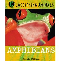 Classifying Animals: Amphibians Sarah Wilkes Paperback Book