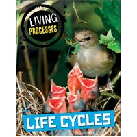 Living Processes: Life Cycles Richard Spilsbury Paperback Book