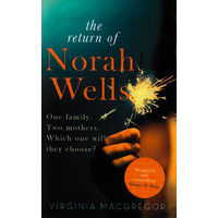 The Return of Noral Wells Fiction Novel Novel Book