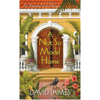 Not So Model Home, A David James Paperback Book