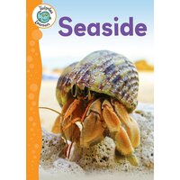 Tadpoles Learners: Seaside Annabelle Lynch Paperback Book