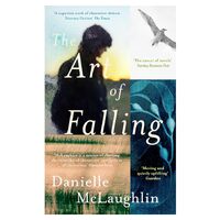 The Art of Falling - Danielle McLaughlin