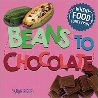 Where Food Comes From: Beans to Chocolate (Where Food Comes From) - Children's