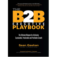 The B2B Executive Playbook Book