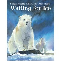 Waiting for Ice Alan Marks Sandra Markle Hardcover Book