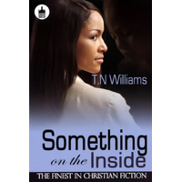 Something on the Inside T. N. Williams Paperback Book