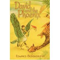 David and the Phoenix Edward Ormondroyd Paperback Novel Book