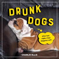 Drunk Dogs: Hilarious Pics of Plastered Pups - Charlie Ellis