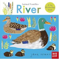 Animal Families: River - Jane Ormes