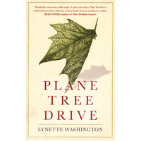 Plane Tree Drive Lynette Washington Paperback Book