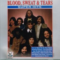 Revisited -Blood, Sweat Tears CD