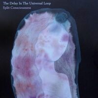 Split Consciousness - Delay In The Universal Loop CD