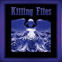 Killing Flies -Killing Flies CD