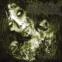 New Dawn For The Dead -Gorerotted CD