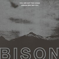 You Are Not The Ocean You Are The Patient -Bison CD