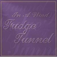 In A Word -Fudge Tunnel CD