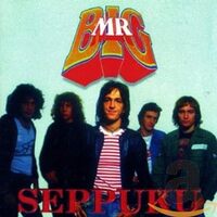 Seppuku - MR BIG CD