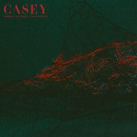 Where I Go When I Am Sleeping - Casey CD