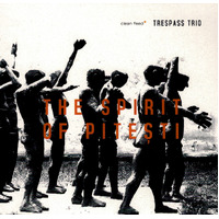 Spirit Of Pitesti -Trespass Trio CD