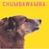 What You See Is What You Get - Chumbawamba CD