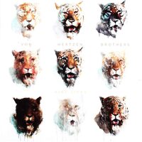 Nine Lives - VON HERTZEN BROTHERS CD