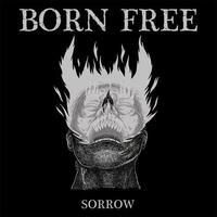 Sorrow - Born Free CD