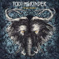 Nocturnal Masquerade -Toothgrinder CD