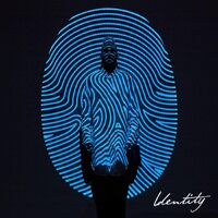 Identity - Colton Dixon CD