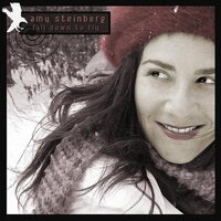 Fall Down To Fly -Amy Steinberg CD