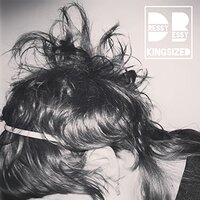 Kingsized -Dressy Bessy CD