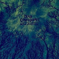 In The Marrow -Dead Confederate CD