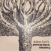 Commas In The Ground -Asher Lev CD