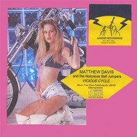 Vicious Cycle -Matthew Davis & The Notorious Bail Jumpers CD