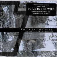 Signals in Transmission - Voice in the Wire CD