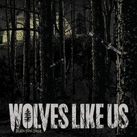 Wolves Like Us - Black Soul Choir CD