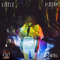 Cult Following - LITTLE SCREAM CD