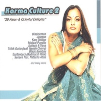 Various – Karma Culture 2 (29 Asian & Oriental Delights) CD