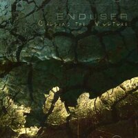 Calling The Vultures -Enduser CD