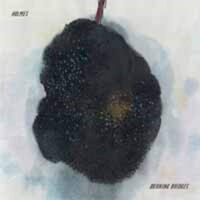 Burning Bridges - Holmes CD