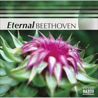 Eternal Beethoven - Ludwig Van Beethoven CD