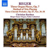 V 16 Organ Works -Reger, Max CD