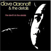 The Devil's in the Details - Dave Aaronoff & The Details MUSIC CD NEW SEALED