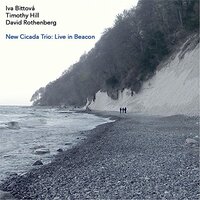 New Cicada Trio: Live In Beacon -Bittova, Iva / Hill, Timothy / Rothenberg, CD