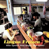 Lingua Franca -Peter Epstein / Brad Shepik / Matt Kilmer CD